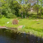 Kalda * Kitsekuela